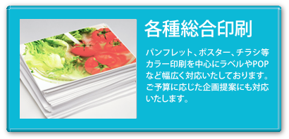 各種総合印刷 パンフレット、ポスター、チラシ等カラー印刷を中心にラベルやPOPなど幅広く対応しており、ご予算に応じた企画提案も対応いたします。